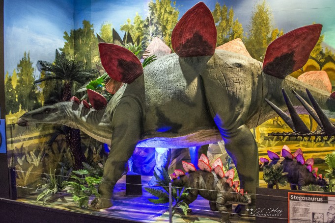 National Dinosaur Museum Canberra