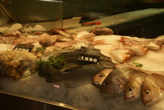 Fish, Queen Victoria Market, Melbourne
