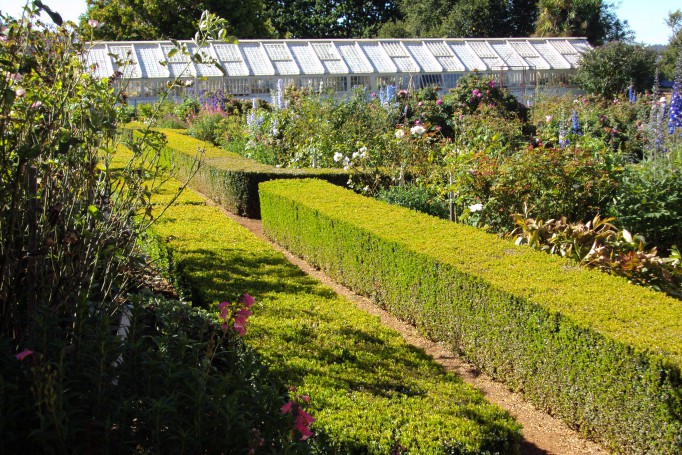 Hadspen. Tasmania. Clipped hedges in the gardens of Entally House.