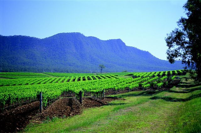 Hunter Valley Wine Region