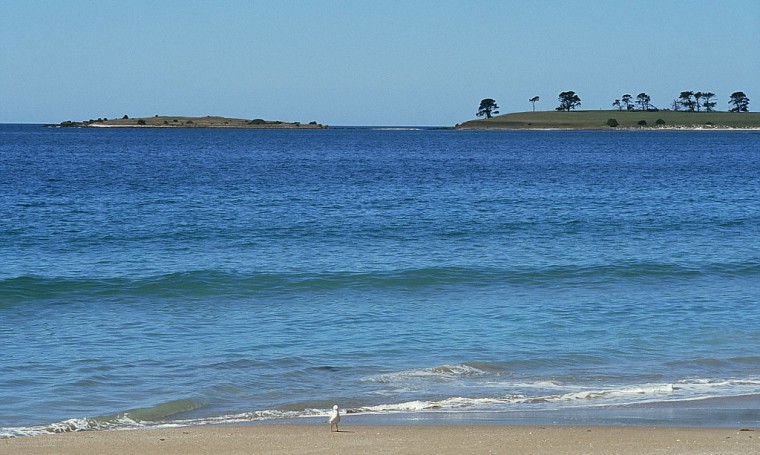 East coast, Tasmania