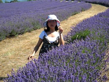 lolling in lavender on Vimeo