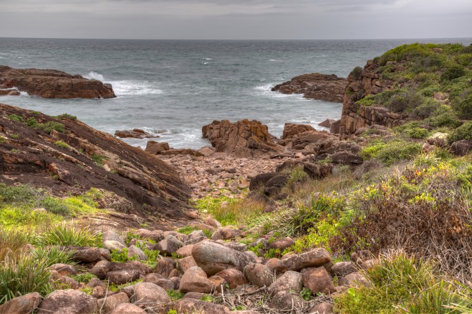 Windswept shoreline, Boatharbour, Port Stephens, NSW, Australia