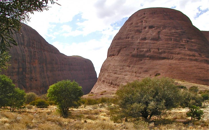 Ayers Rock - the Olga's