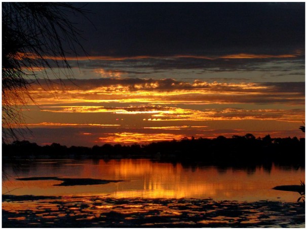 Tanilba Bay Sunset (by Elizabeth Whalan)