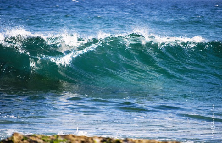 Newcastle Beach_0093