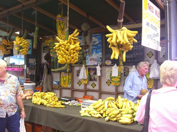 Bananas by the bunch - Carrara Market