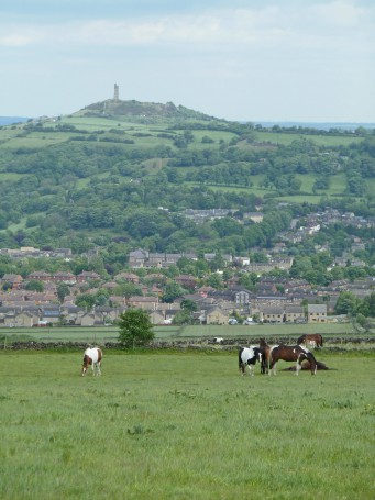 Castle Hill