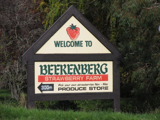 Beerenberg strawberry farm - Hahndorf, Adelaide