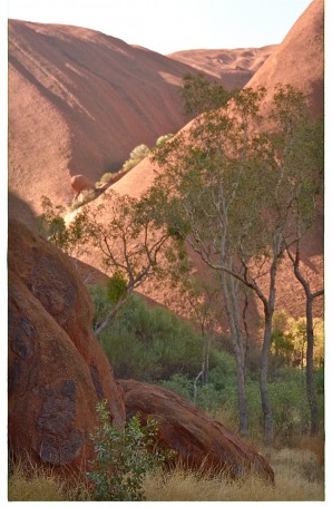 Ayers Rock - the Olga's