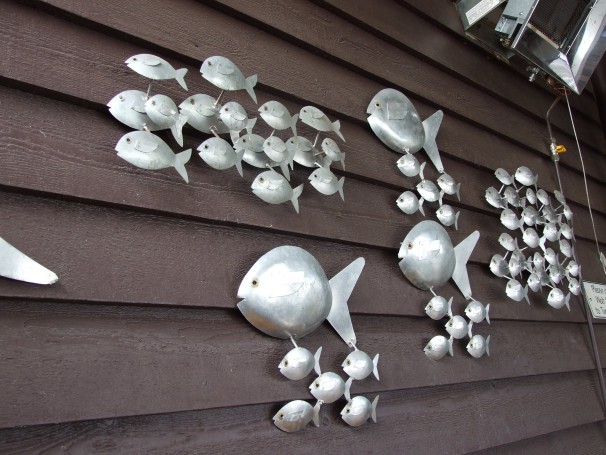 Fish at the Taylor Street Jetty Tea Rooms