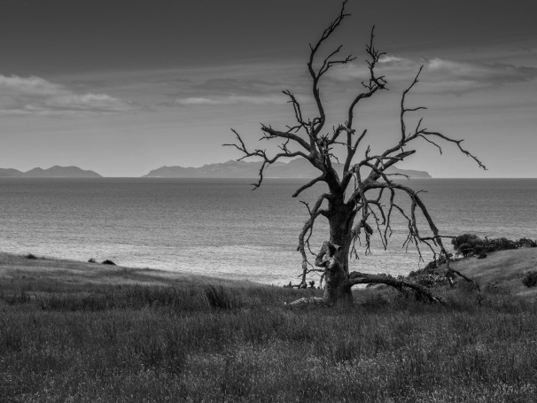 East coast, Tasmania