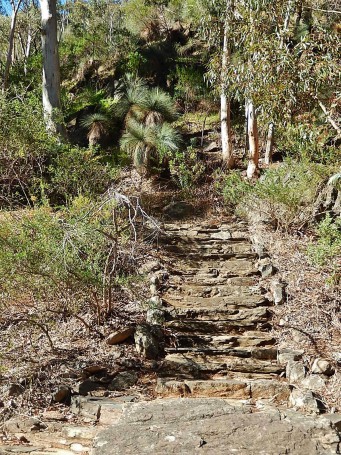 Stone Steps to the Bush