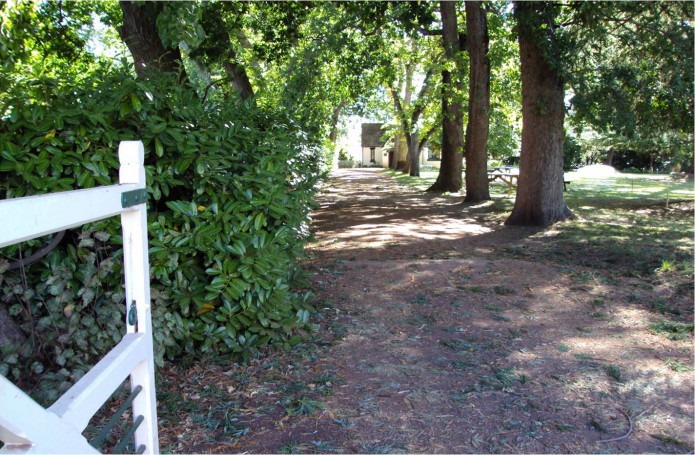 Launceston. Wooden gate and English trees at Entally House at Hadspen Tasmania near Launceston. Entally house dates from 1819.
