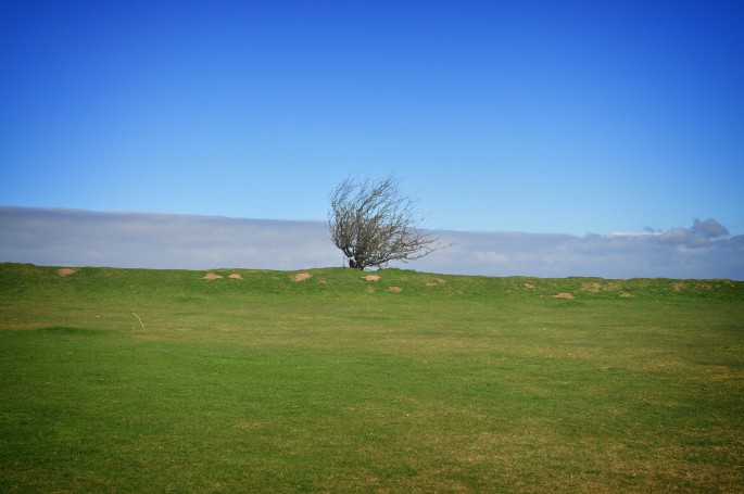 Castle Hill
