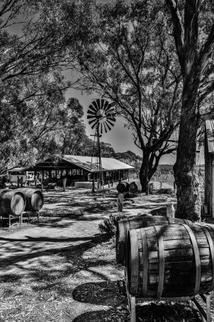 d'Arenburg winery, Adelaide