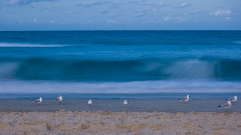 Surfers Paradise, Gold Coast