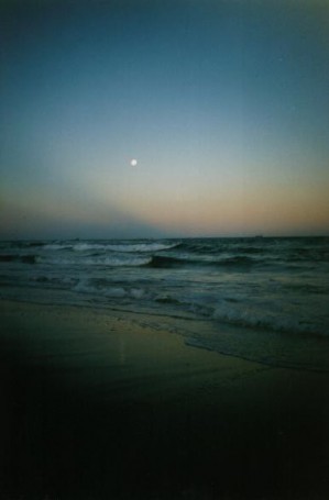 Sunset on a Newcastle Beach