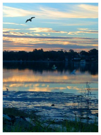 Tanilba Bay Sunset (by Elizabeth Whalan)