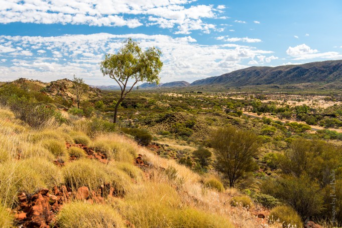 Western MacDonnell Ranges