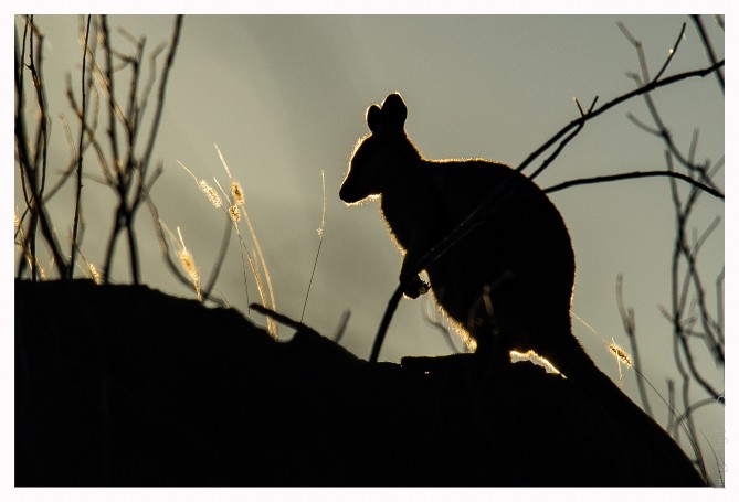 Catching the first rays