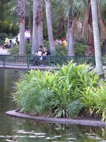 City Botanic Gardens - Brisbane - Australia