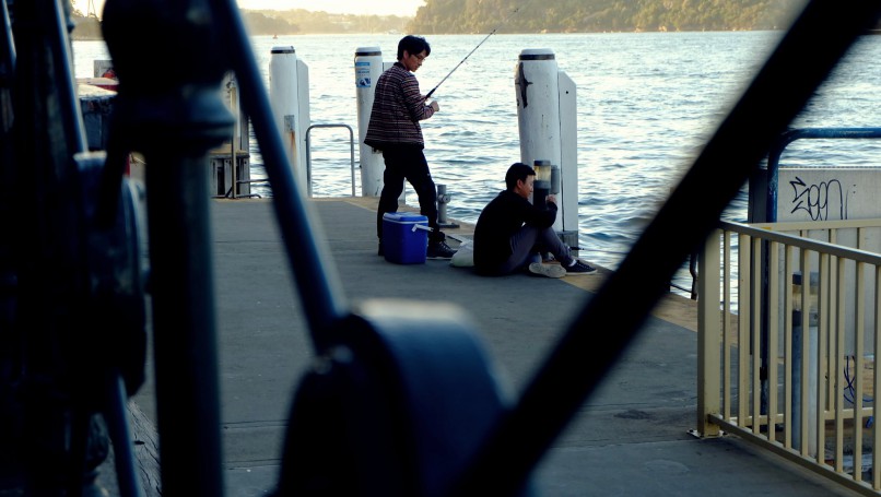 Harbour Bridge - Sydney