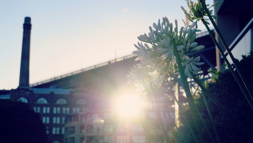 Harbour Bridge - Sydney