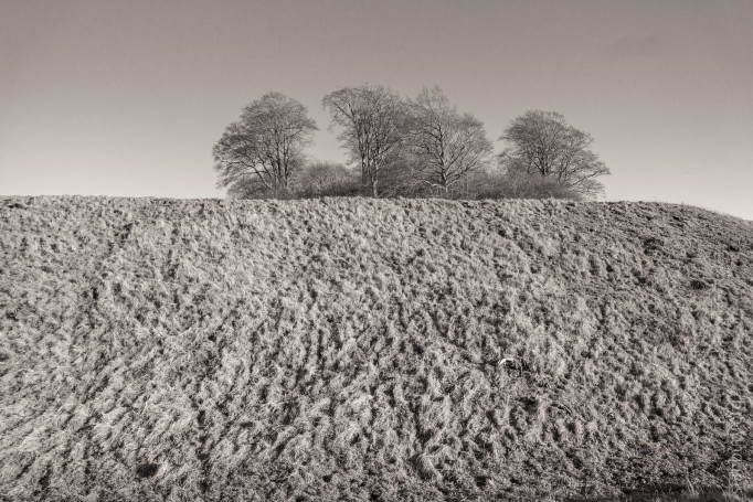 Castle Hill
