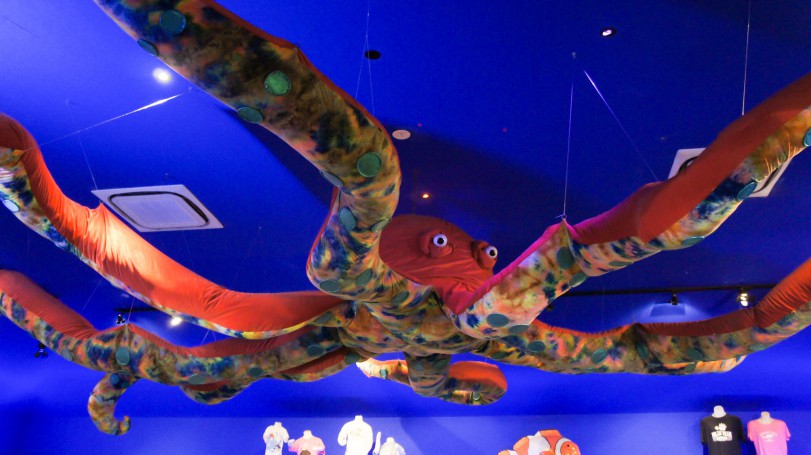 Octopus on the ceiling in a shop / Sea World / Village Roadshow Theme Park / Gold Coast / #Australia / #ゴールドコースト / #オーストラリア