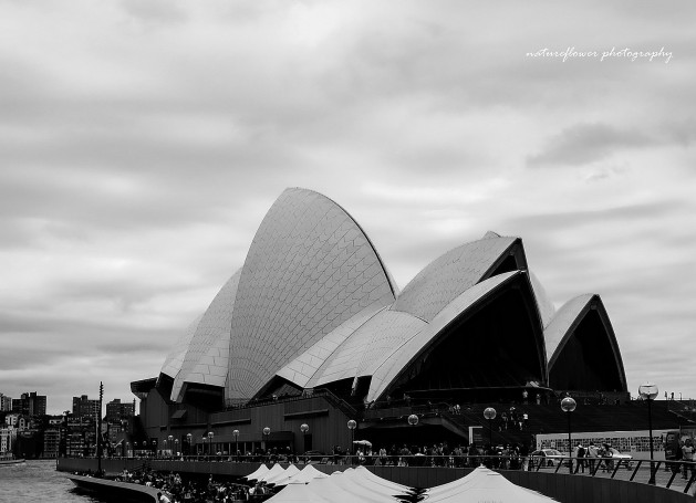 The opera house, Sydney in b&w.