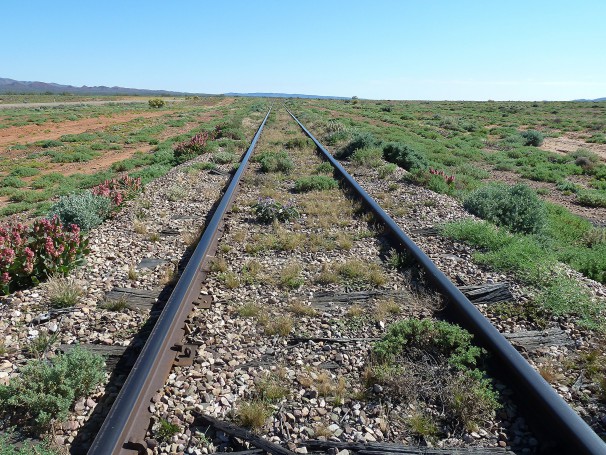 Track of the Old Ghan Train nearby Alice Springs