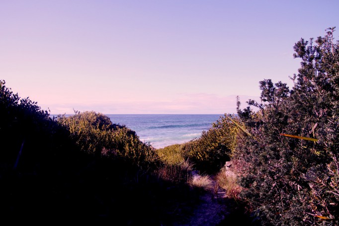 Lily Cottage, East Coast Tasmania