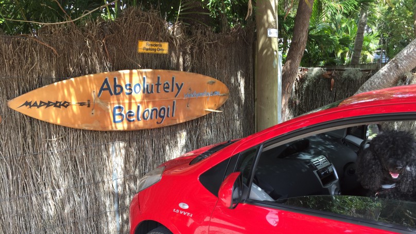 Absolutely Belongil, Belongil Beach, Byron Bay, NSW