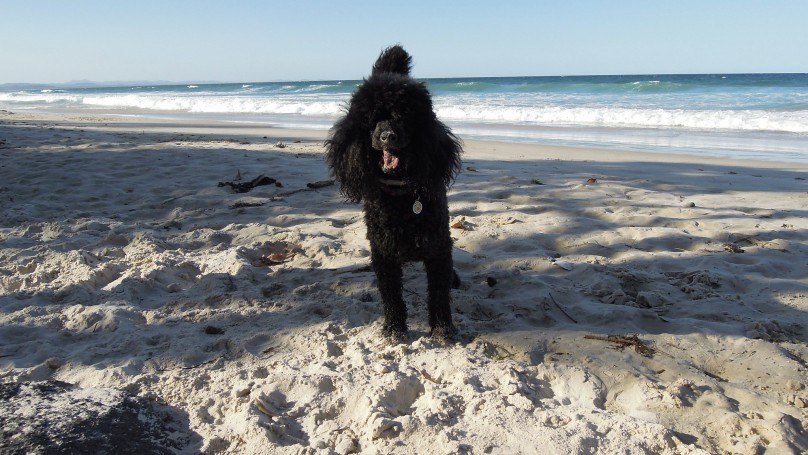 Belongil Beach, Byron Bay, New South Wales