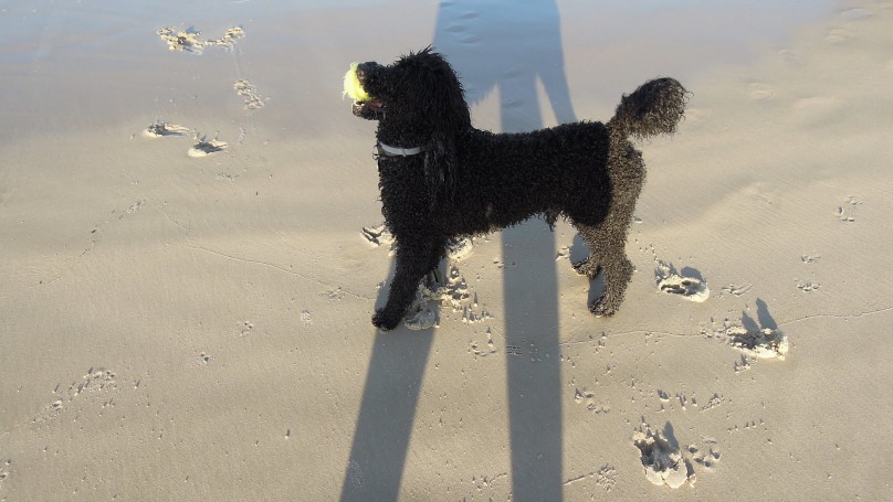 Belongil Beach, Byron Bay, New South Wales
