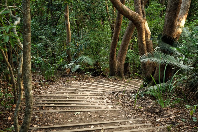 Cape Byron Walking Track