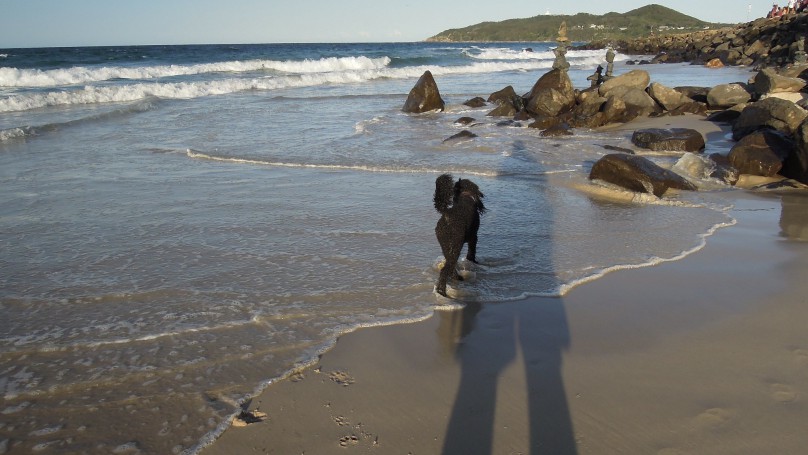 Belongil Beach, Byron Bay, New South Wales