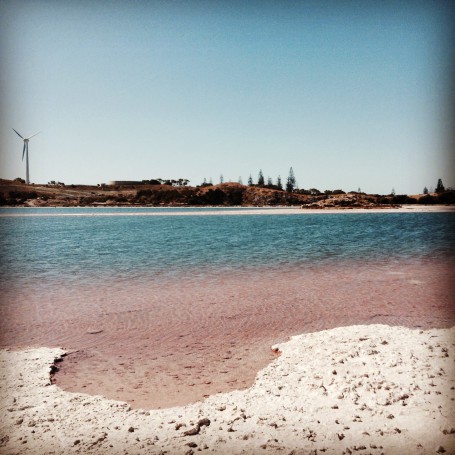 Rottnest Island | Perth WA