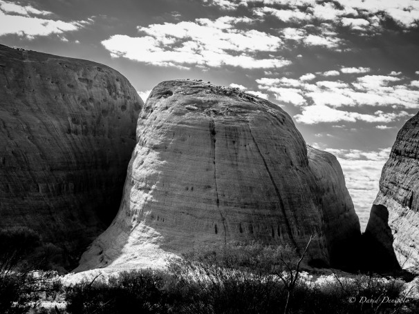 Kata Tjuta B&W