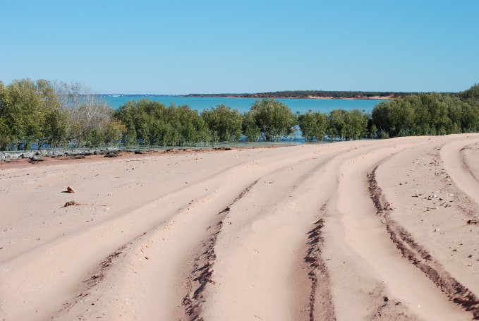 Tyre tracks Roebuck Bay