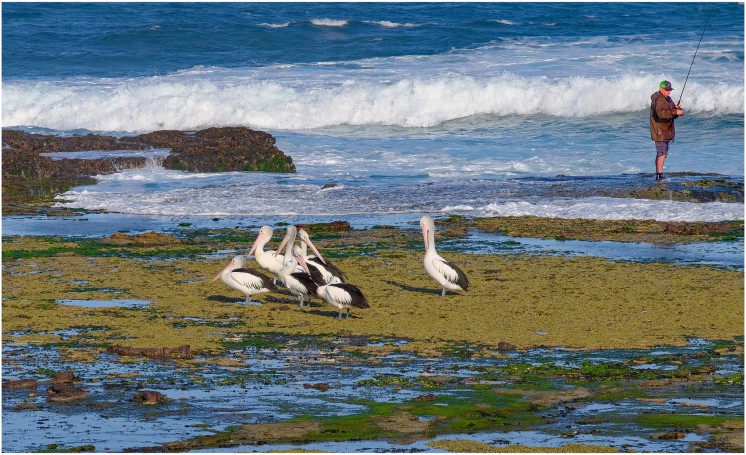 Nobby's Beach, Newcastle, NSW, Australia