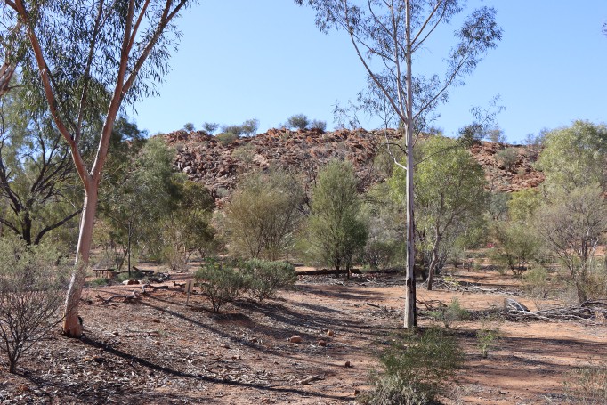 Landscape, Olive Pink Botanic Garden, Alice Springs, Northern Territory, Australia, 2019