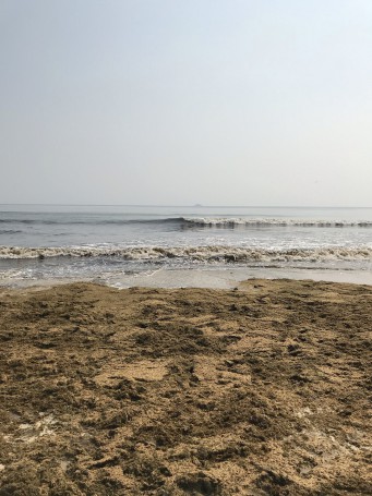 Belongil Beach, Byron Bay