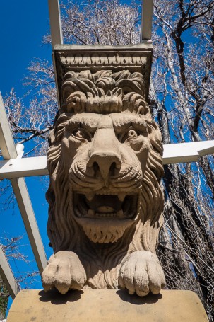 Salamanca Markets & surrounds