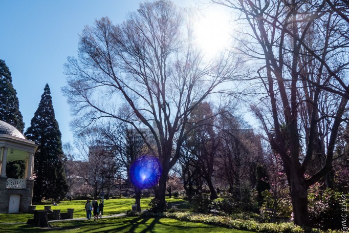 Salamanca Markets & surrounds