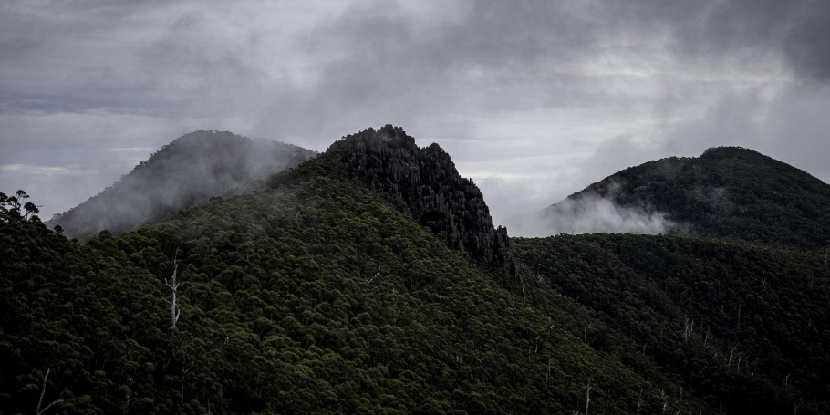 Clouds over the mountains, Cathedral Rock track, Wellington Park, Tasmania-9