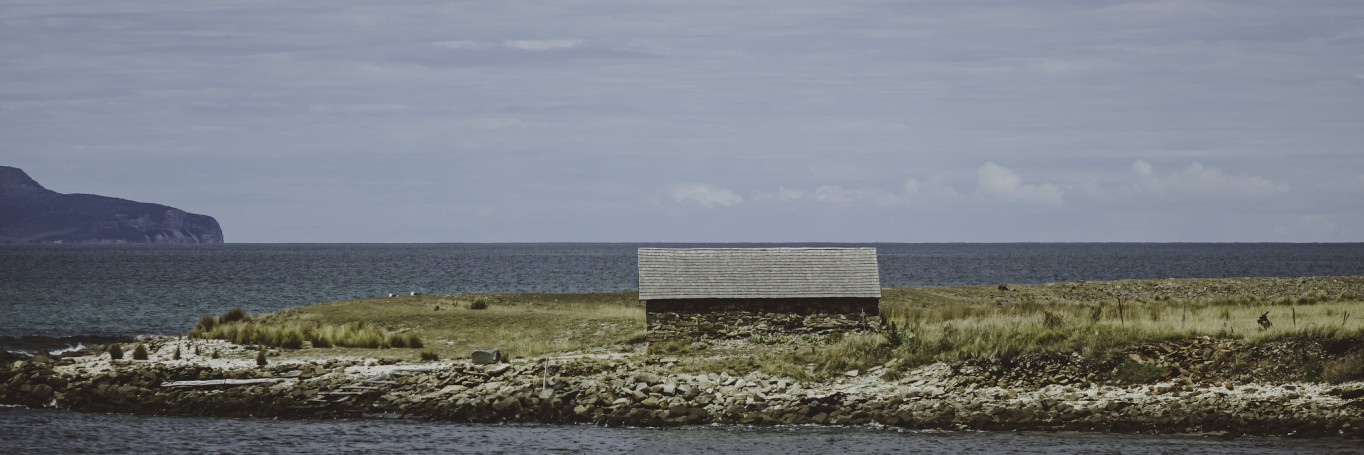 Shed, driving down the east coast, Tasmania