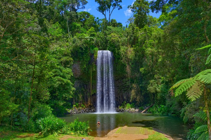 Millaa Millaa Falls, Atherton Tablelands, Far North Queensland, Australia