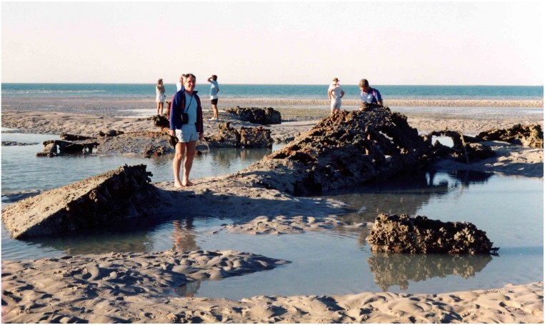 Flying Boat wreckage Roebuck Bay